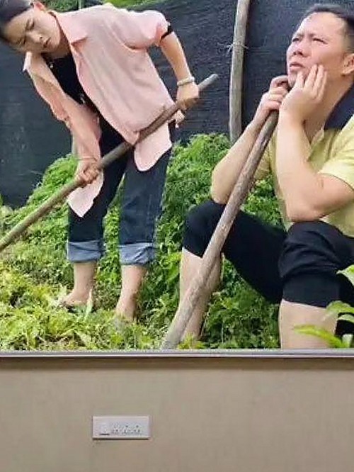 娱乐圈分手背后不为人知的隐秘故事揭秘