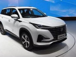 白鹿从默默无闻到话题女王：娱乐圈甜蜜与风波的时间线回顾