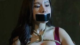 司晓迪自曝睡遍顶流引爆2026内娱，工作室集体辟谣大战升级