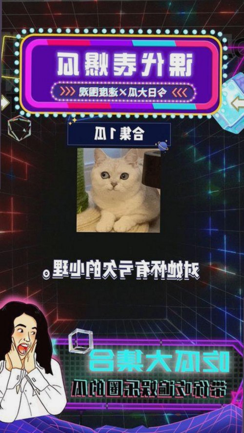 司晓迪自曝睡遍顶流引爆2026内娱，工作室集体辟谣大战升级