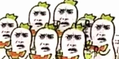 体操冠军吴柳芳：从英雄形象到争议焦点的反差人生