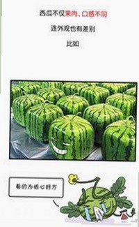 某知名女明星最新动态：公开亮相展现新形象