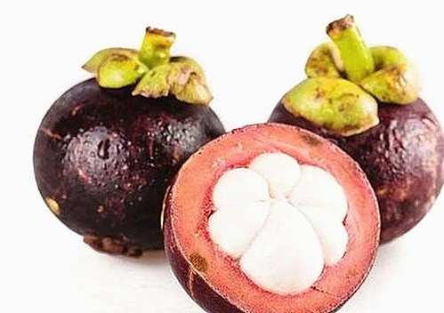 51吃瓜网红最新动态：引领潮流的背后故事揭秘